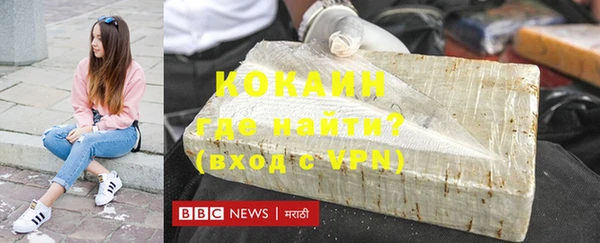 индика Богородицк